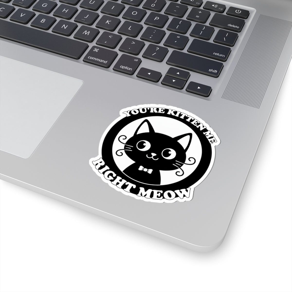 You're Kitten Me Right Meow