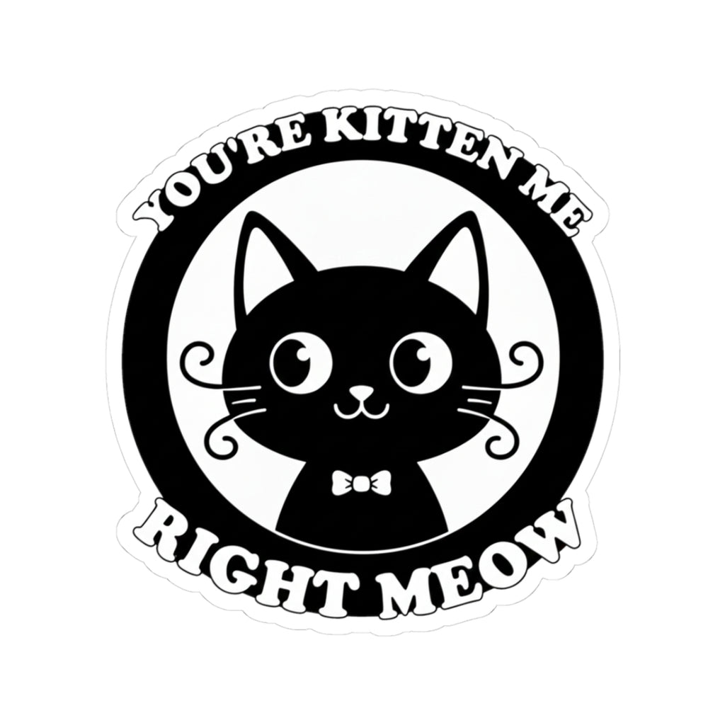 You're Kitten Me Right Meow
