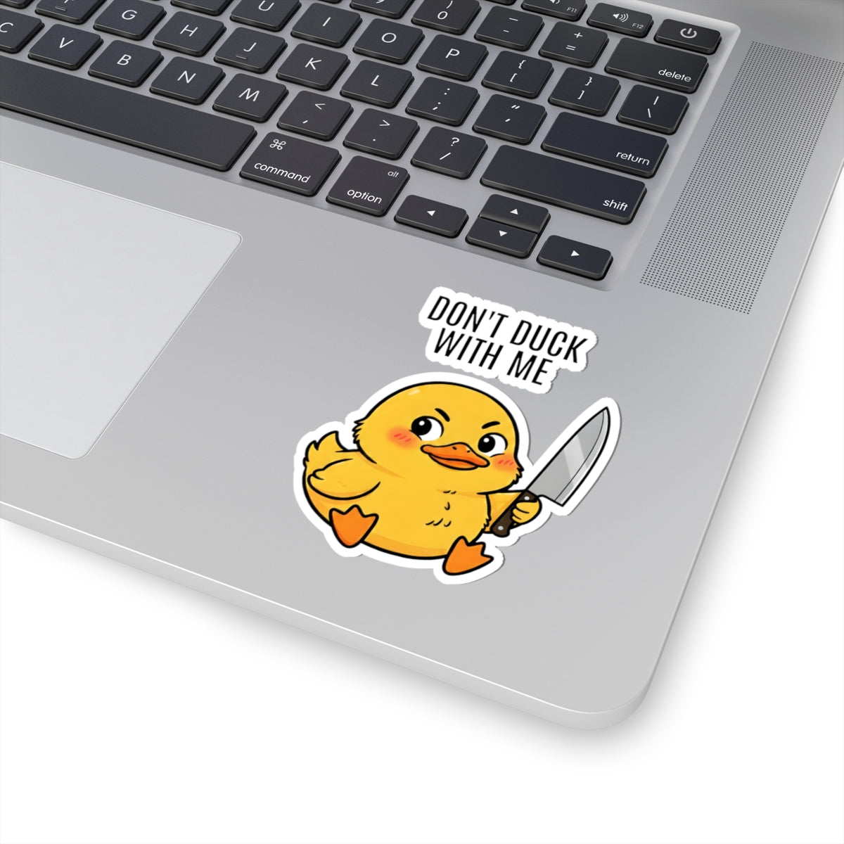 Don't Duck With Me Duck